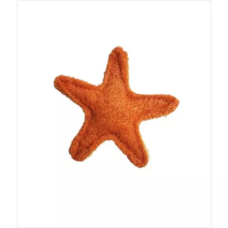 Hip Doggie Loofah Starfish Dog Dental Toy - Large Dog Chew Toys