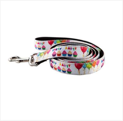 Hip Doggie Party Matching Dog Leash