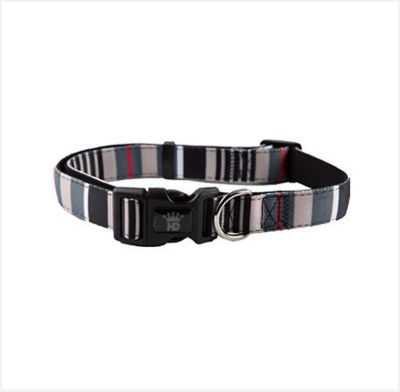 Hip Doggie Designer Stripes Adjustable Dog Collar