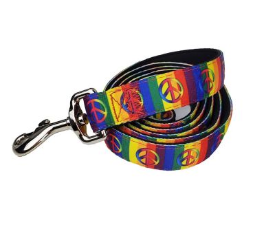 Hip Doggie Rainbow Matching Dog Leash