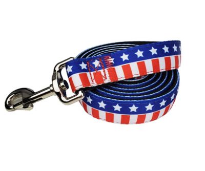Hip Doggie USA Matching Dog Leash
