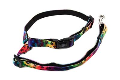 Hip Doggie Seat Belt Leash for Dogs, Paw Print