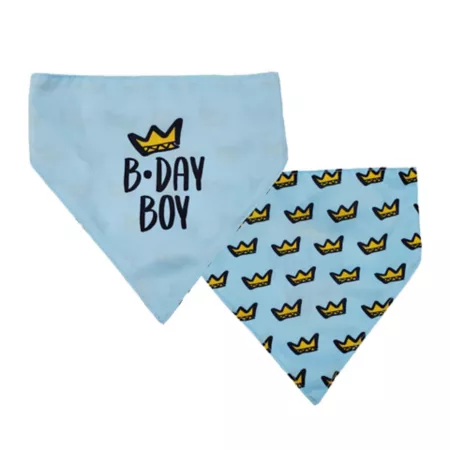 Hip Doggie Birthday Boy Reversible Bandana for Dogs Dog Bandanas Ties & Accessories