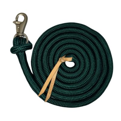 Kensington 10 ft. Solid Colored Training Lead