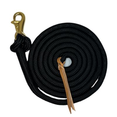 Kensington 10 ft. Solid Colored Training Lead