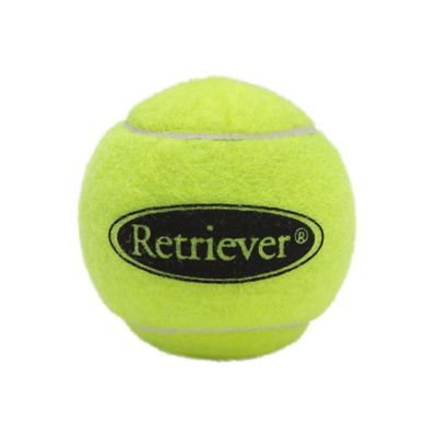 image of a Dog Balls