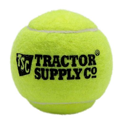 Image showing  Tennis Ball Dog Toy, 2.5 in.