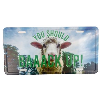 HaynesBesco Group Metal License Plate Back Up