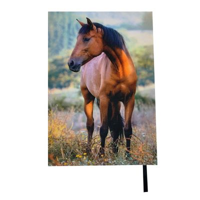 HaynesBesco Group Fabric Covered Journal Horse