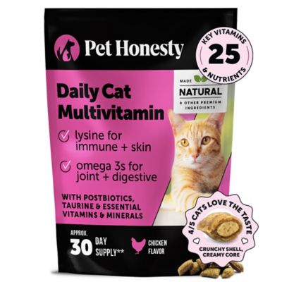image of a Cat Health & Wellness