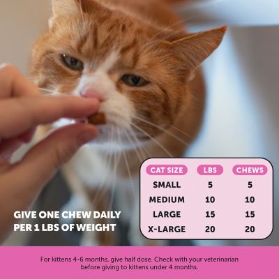 Image showing  Dual Texture Multivitamin Chews Supplement for Cats, 3.7 oz bag