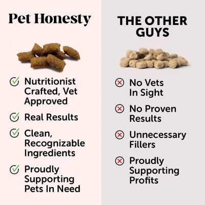 Image showing 5 th Pet Honesty Dual Texture Multivitamin Chews Supplement for Cats, 3.7 oz bag
