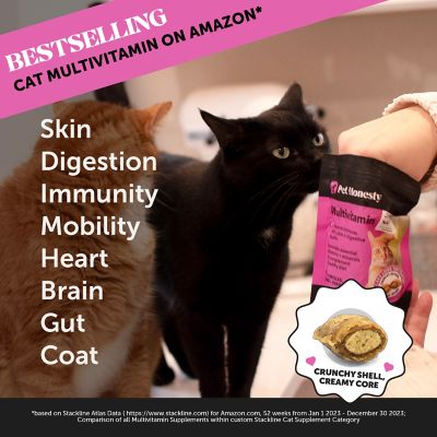 Image showing 6 th Pet Honesty Dual Texture Multivitamin Chews Supplement for Cats, 3.7 oz bag
