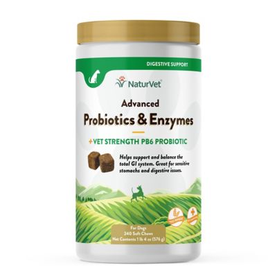 NaturVet Advanced Probiotics & Enzymes Supplement Soft Chew