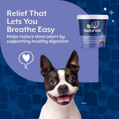 Image showing  No Toot Gas Aid Plus Fennel Soft Chews for Dogs, 70 ct.