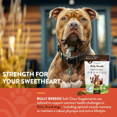 Image showing 8 th NaturVet Breed Specific Supplement, Bully Dog, Soft Chew