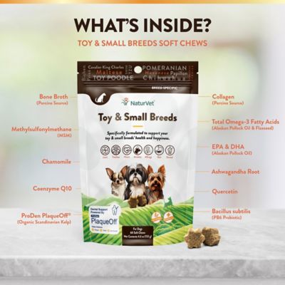 Image showing  Breed Specific Toy Supplement, Small Dog, Soft Chew