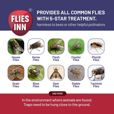 Image showing  EZ Fly Cage Reusable Outdoor Fly Trap with 12 Attractant Bait Refills, Low Odor