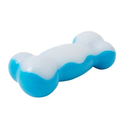 Image showing  Blue Paws Fill and Freeze Icy Bone