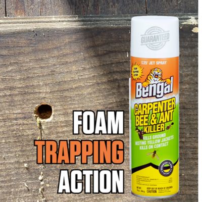 Image showing  Carpenter Bee & Ant Killer Spray