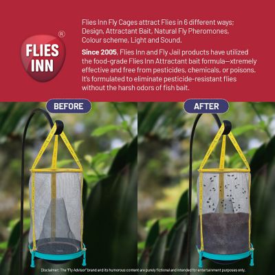 Image showing  6 EZ Fly Cages Reusable Outdoor Fly Traps with 72 Attractant Bait Refills, Low Odor