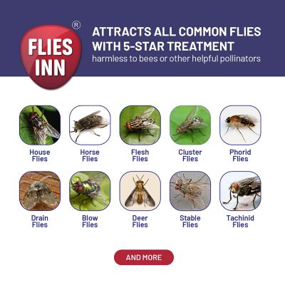 Image showing  Lite Fly Cage Reusable Outdoor Fly Trap with 2 Attractant Bait Refills, Low Odor, FLLITE1