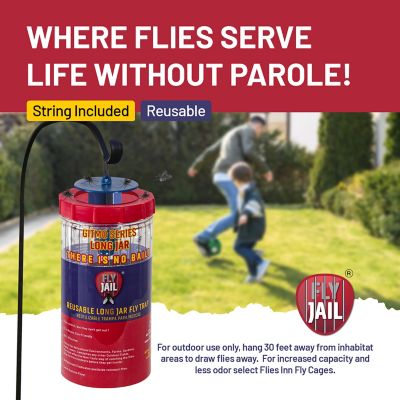 Image showing  Long Jar Reusable Outdoor Fly Trap