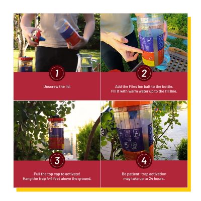 Image showing  2 Long Jar Reusable Outdoor Fly Traps