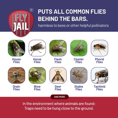 Image showing  2 Medium Bag Disposable Outdoor Fly Traps