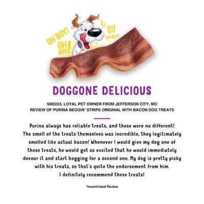 Image showing  Original Bacon Flavor Dog Treats, 25 oz.