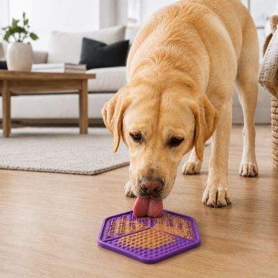 Image showing  Hexagon Lick Pad