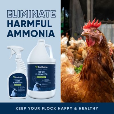 Image showing  Chicken Coop Odor Eliminator, 32 ounce
