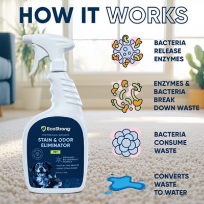 Image showing  Pet Stain and Odor Eliminator, 32 oz.