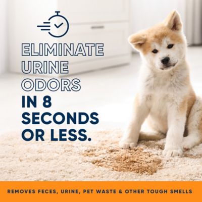 Image showing  Orange Stain and Odor Remover, 32 oz.