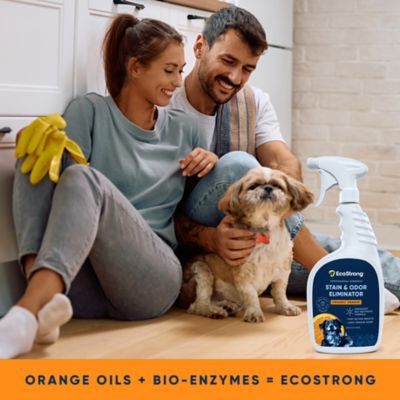 Image showing  Orange Stain and Odor Remover, 32 oz.