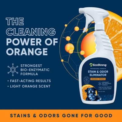 Image showing 6 th EcoStrong Orange Stain and Odor Remover, 32 oz.