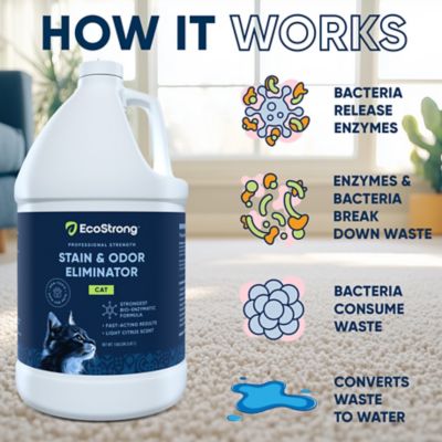 Image showing  Cat Stain and Odor Remover, 1 gal.