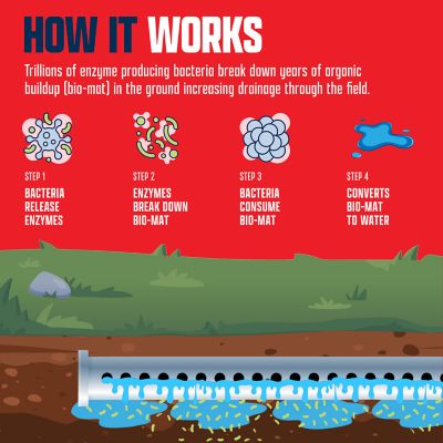 Image showing 6 th EcoStrong Septic Liberator Powder, 7.5 lb.