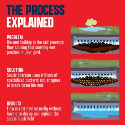 Image showing 7 th EcoStrong Septic Liberator, 1 gal.