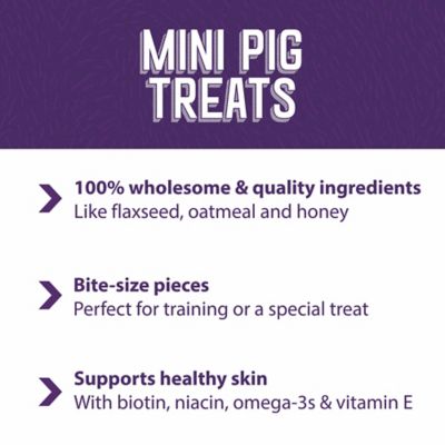 Image showing  Oat and Honey Mini Pig Treats, 3.5 lb. Bag
