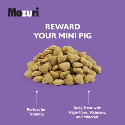 Image showing  Oat and Honey Mini Pig Treats, 3.5 lb. Bag