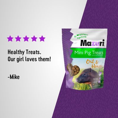 Image showing 5 th Mazuri Oat and Honey Mini Pig Treats, 3.5 lb. Bag
