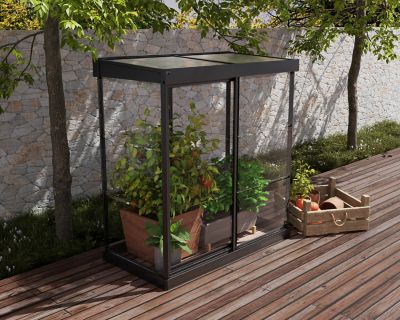 Image showing  Ivy 4 ft. x 2 ft. Mini Greenhouse, Black