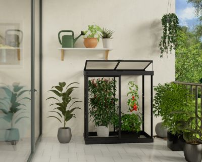Image showing  Ivy 4 ft. x 2 ft. Mini Greenhouse, Black