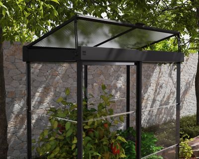 Image showing  Ivy 4 ft. x 2 ft. Mini Greenhouse, Black