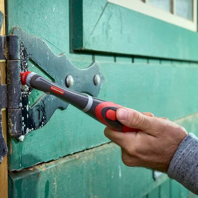 Image showing  Reveal Power Scrubber