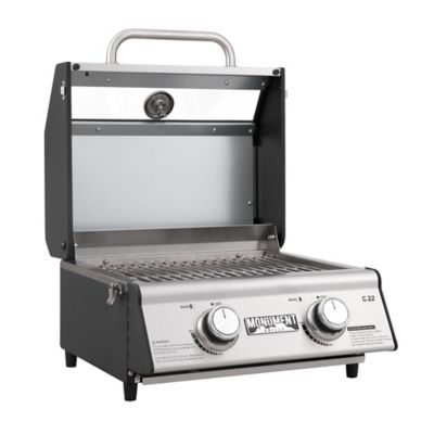 Image showing  2-Burner Stainless Steel Tabletop Propane Gas Grill, Silver