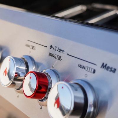 Image showing  4-Burner Mesa Series Infrared Propane Gas Grill, Silver, With Side Burner