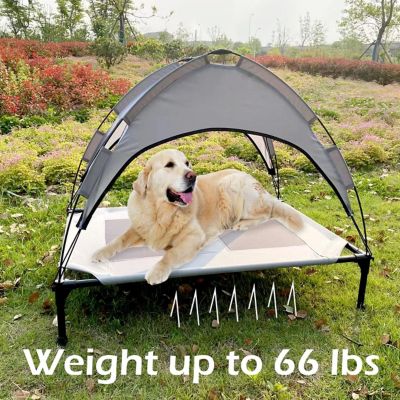 Image showing 5 th Avitec Elevated Outdoor Dog Bed BAC-110120