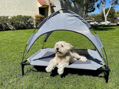 Image showing 7 th Avitec Elevated Outdoor Dog Bed BAC-110120